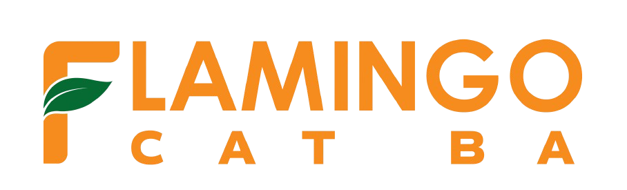 Logo Đối tác