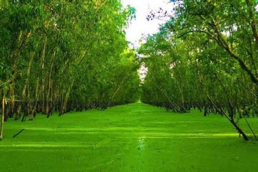 CẦN THƠ- AN GIANG - ĐỒNG THÁP