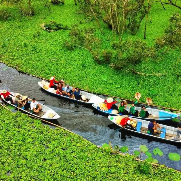 Kinh Nghiệm Du Lịch Rừng Tràm Trà Sư An Giang